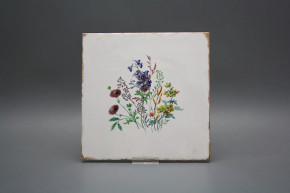 Forli Blanco Wandfliese 20x20cm Blumenwiese D