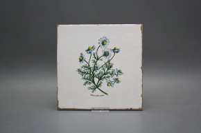 Forli Blanco Wandfliese 20x20cm Herbs 6-teiliges Set