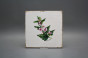 Forli Blanco Wandfliese 20x20cm Herbs 6-teiliges Set č.3