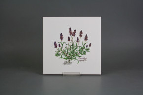 Fliesenset 20x20cm Herbs Classic 6tlg. weiß matt