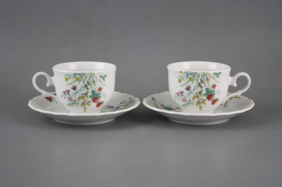 Teetasse 0,18l und Untertasse Ofelie Blumenwiese Motiv C CBB č.1